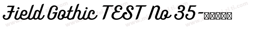 Field Gothic TEST No 35字体转换
